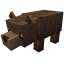 Mláďa medveďa
