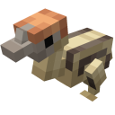 Mláďa pštrosa