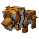 Mláďa tigra